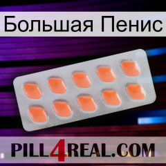 Большая Пенис 26